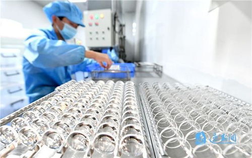 小工厂里出奇迹 高科技赋能制造业新生态
