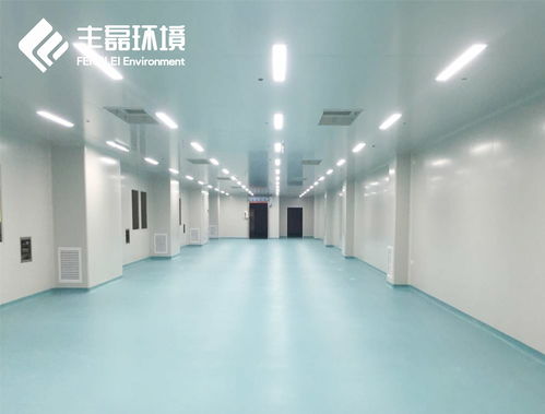 丰源环境 科技赋能定制化食品洁净工程解决方案